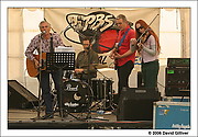 click for larger version