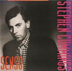 Stephen Cummings: Senso