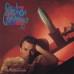 Stephen Cummings: This Wonderful Life